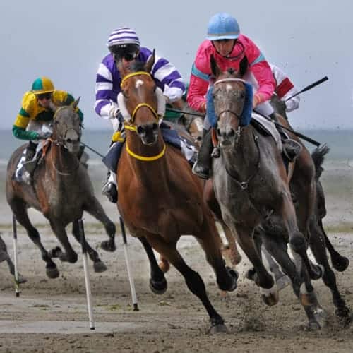 Course hippique de plat