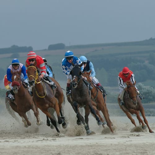 Courses hippiques de Plouescat