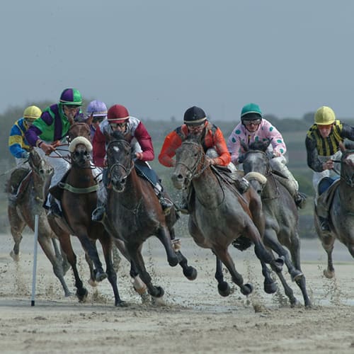 Course de plat sur hippodrome marin