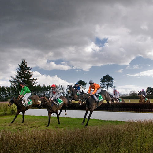 Course hippique de saut d'obstacles